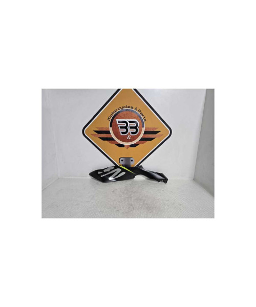 Carena Dreapta Kawasaki Ninja 125 BX125A 2019