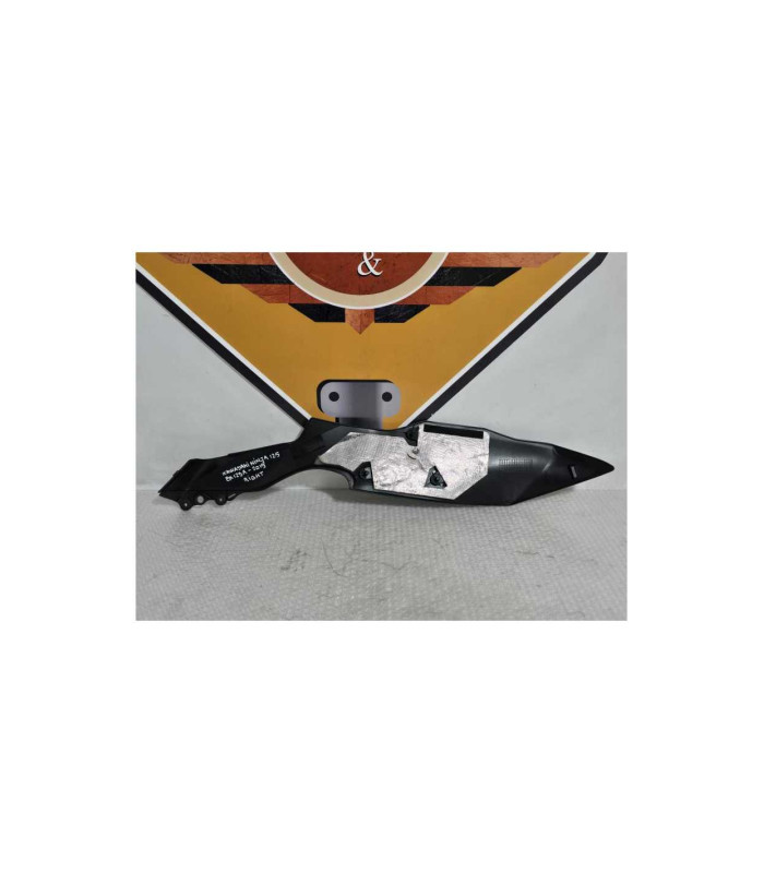 Carena Dreapta Kawasaki Ninja 125 BX125A 2019