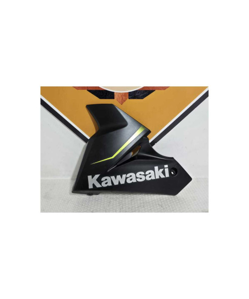 Carena Inferioara Stanga Kawasaki Ninja 125 BX125A 2019