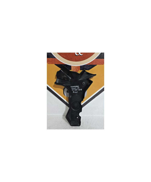 Carena Laterala Dreapta Cadru Kawasaki Ninja 125 BX125A 2019