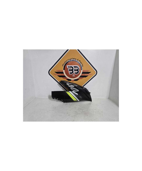 Carena Superioara Dreapta Kawasaki Ninja 125 BX125A 2019