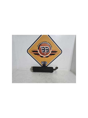 Evacuare Finala Kawasaki Ninja 125 BX125A 2019