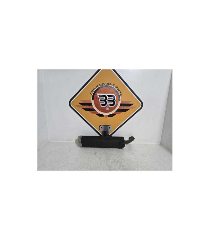 Evacuare Finala Kawasaki Ninja 125 BX125A 2019