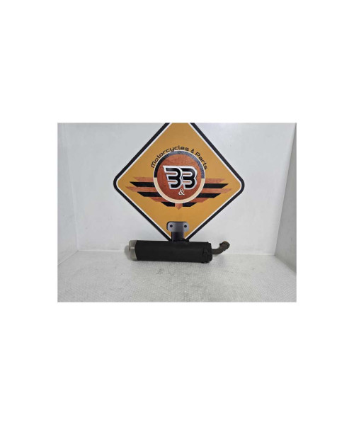 Evacuare Finala Kawasaki Ninja 125 BX125A 2019