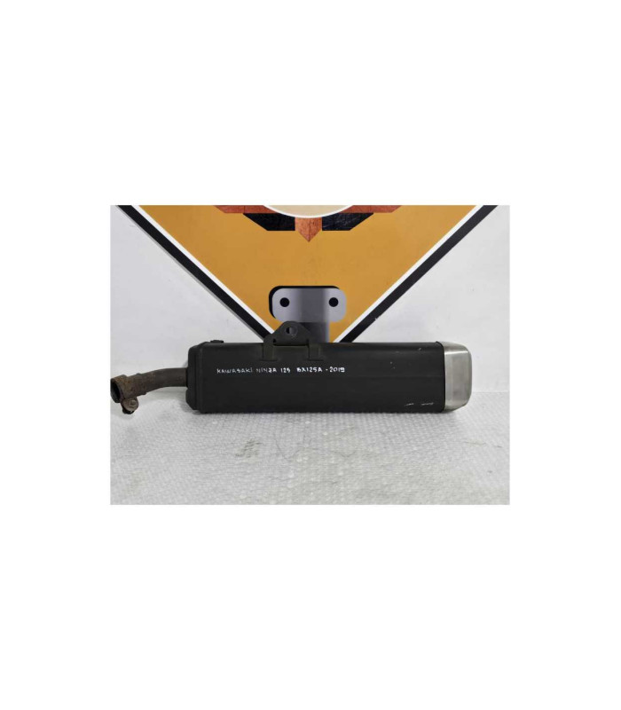 Evacuare Finala Kawasaki Ninja 125 BX125A 2019