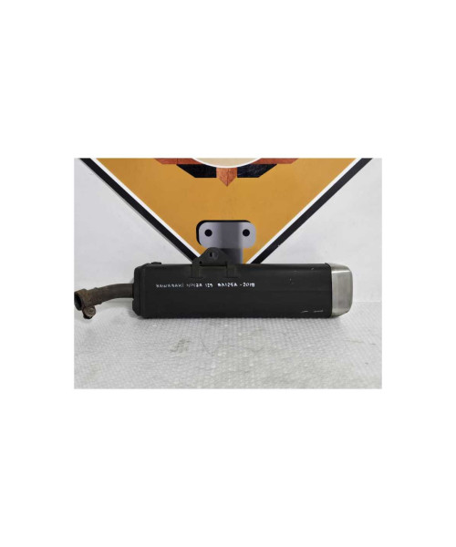 Evacuare Finala Kawasaki Ninja 125 BX125A 2019