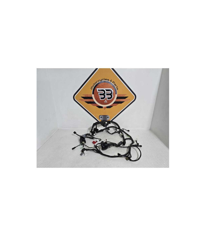 Instalatie Electrica Kawasaki Ninja 125 BX125A 2019