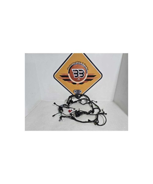 Instalatie Electrica Kawasaki Ninja 125 BX125A 2019