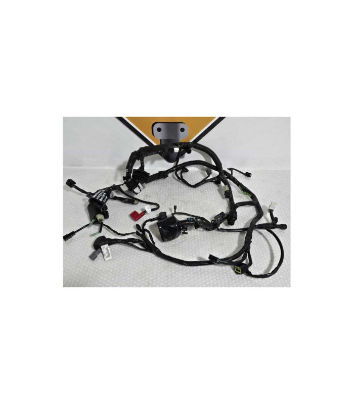 Instalatie Electrica Kawasaki Ninja 125 BX125A 2019