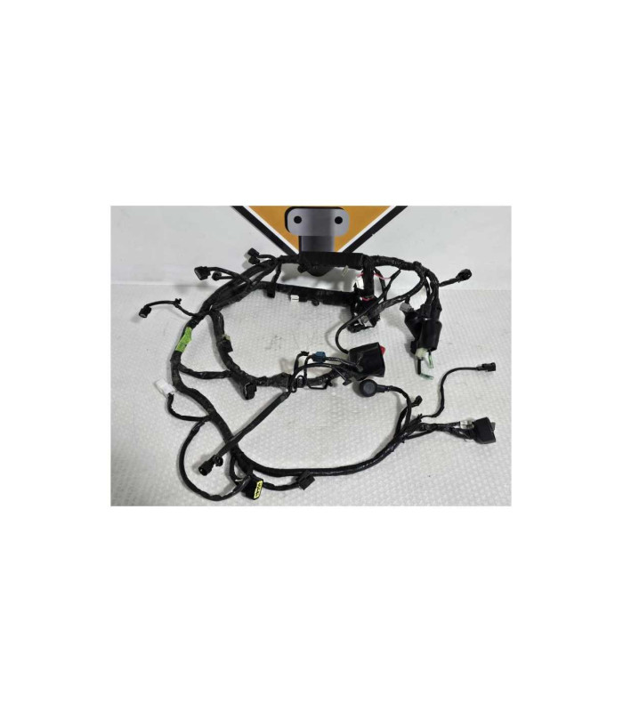 Instalatie Electrica Kawasaki Ninja 125 BX125A 2019