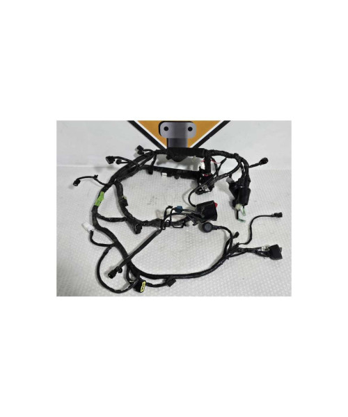 Instalatie Electrica Kawasaki Ninja 125 BX125A 2019