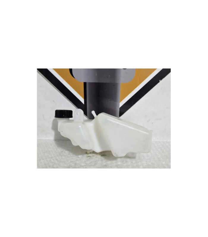 Vas Expansiune Kawasaki Ninja 125 BX125A 2019