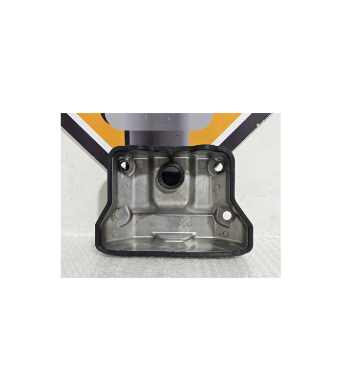 Capac Chiuloasa Kawasaki Ninja 125 BX125A 2019