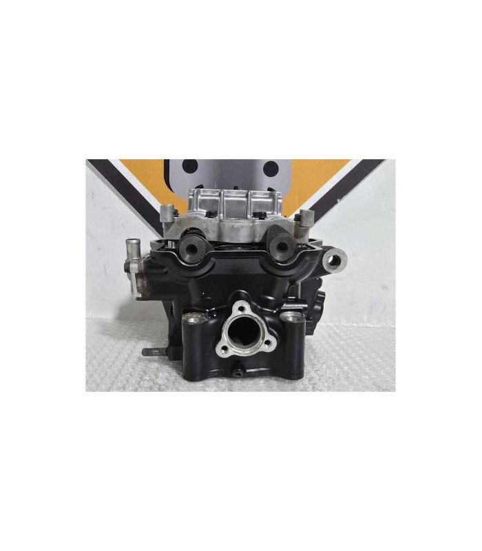 Chiuloasa Completa Kawasaki Ninja 125 BX125A 2019