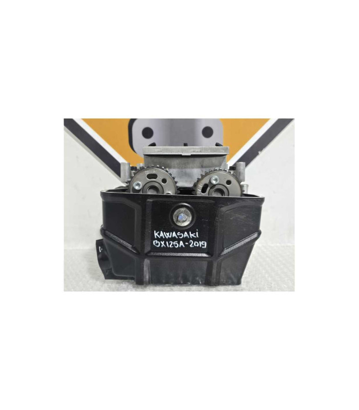 Chiuloasa Completa Kawasaki Ninja 125 BX125A 2019