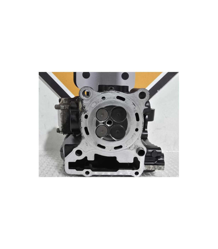 Chiuloasa Completa Kawasaki Ninja 125 BX125A 2019