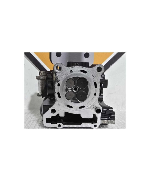 Chiuloasa Completa Kawasaki Ninja 125 BX125A 2019