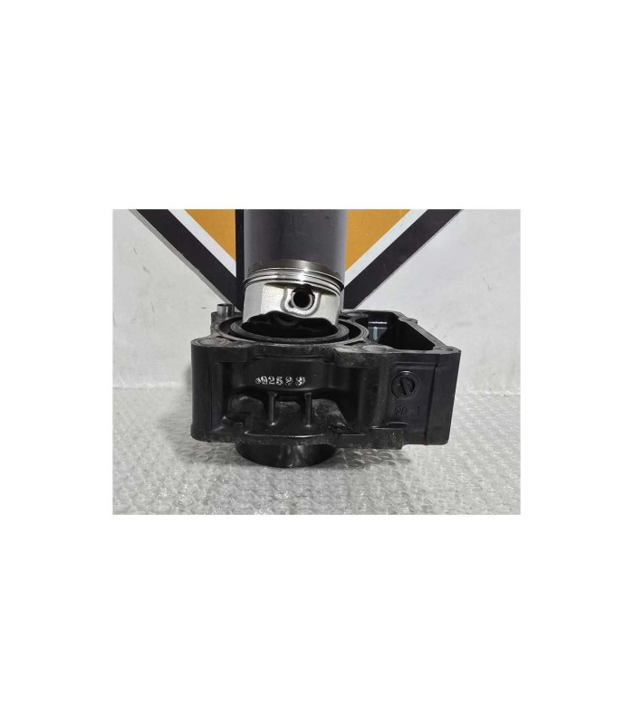 Cilindru Si Piston Kawasaki Ninja 125 BX125A 2019