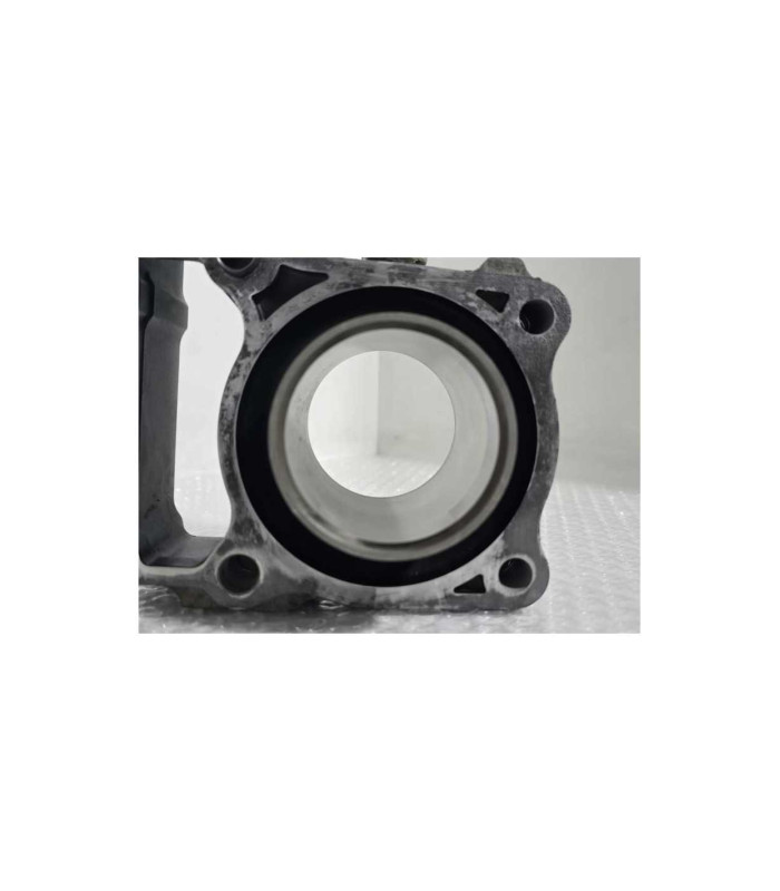 Cilindru Si Piston Kawasaki Ninja 125 BX125A 2019
