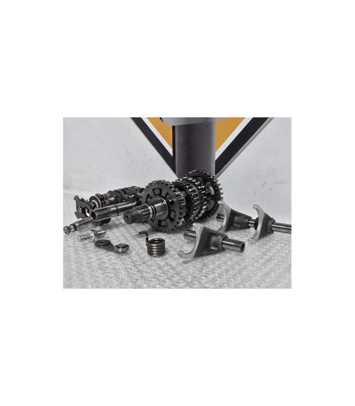 Cutie Viteze Kawasaki Ninja 125 BX125A 2019