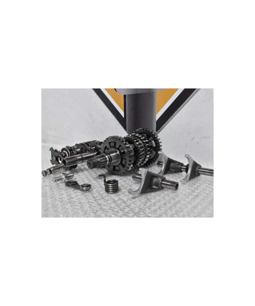 Cutie Viteze Kawasaki Ninja 125 BX125A 2019