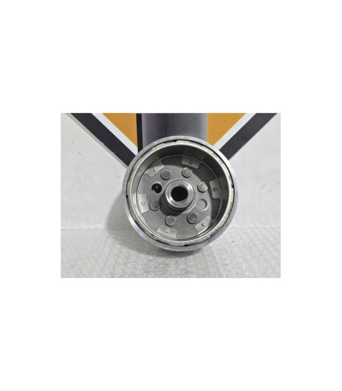 Magnetou Kawasaki Ninja 125 BX125A 2019