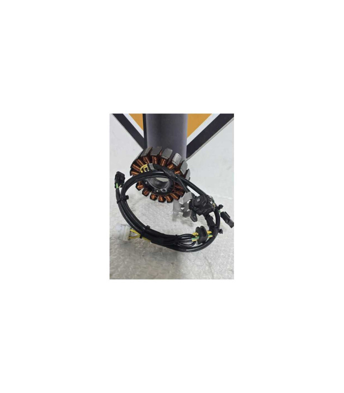 Stator Si Cititor Kawasaki Ninja 125 BX125A 2019