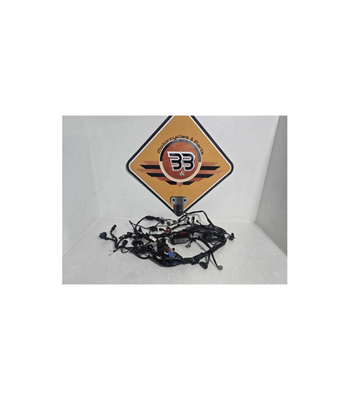 Instalatie Electrica Honda NC 750XD RH09 DCT 2024