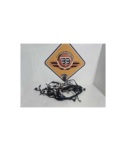 Instalatie Electrica Honda NC 750XD RH09 DCT 2024