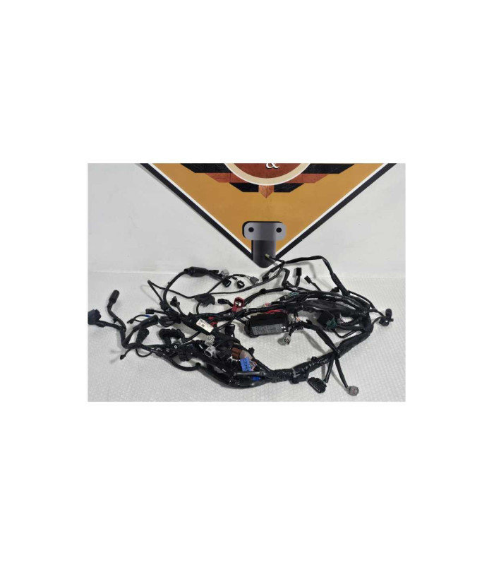 Instalatie Electrica Honda NC 750XD RH09 DCT 2024