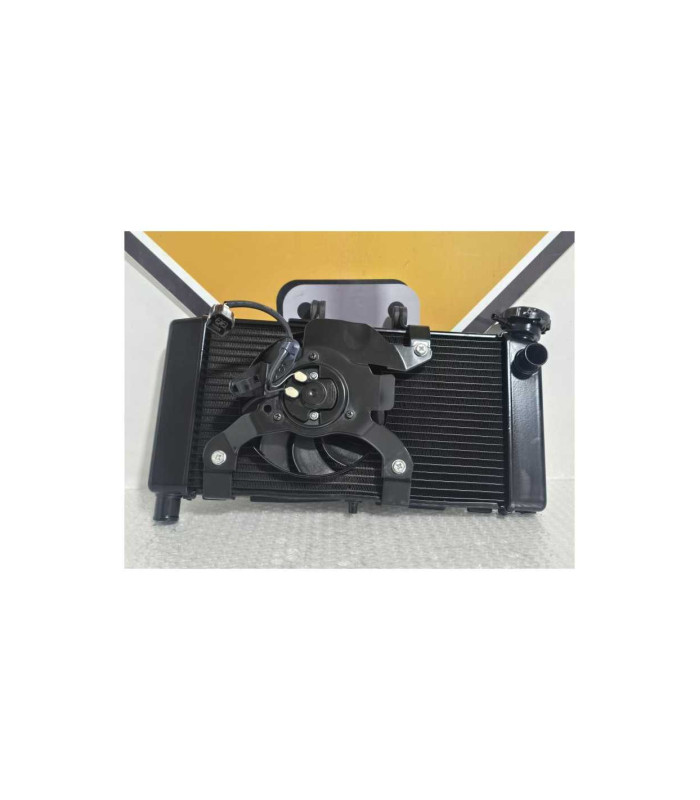 Radiator Complet Honda NC 750XD RH09 DCT 2024
