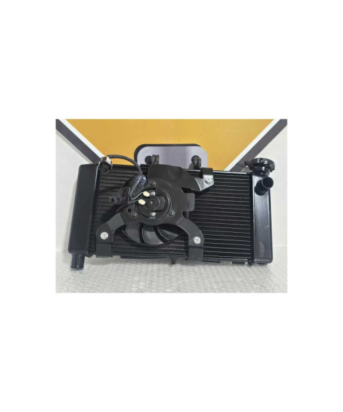 Radiator Complet Honda NC 750XD RH09 DCT 2024