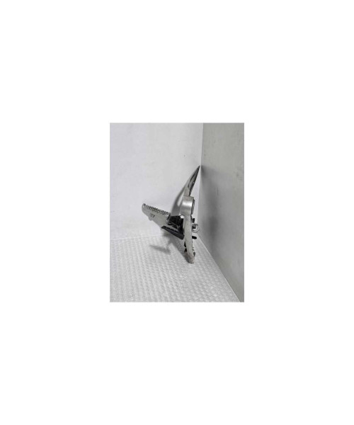 Ansamblu Scarita Dreapta Pilot Honda CB 125R JC79 2020