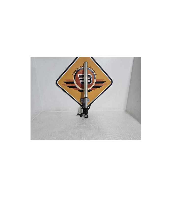 Telescop Dreapta Honda CB 125R JC79 2020