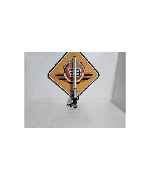 Telescop Dreapta Honda CB 125R JC79 2020