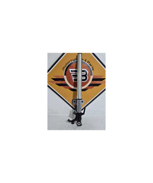 Telescop Dreapta Honda CB 125R JC79 2020