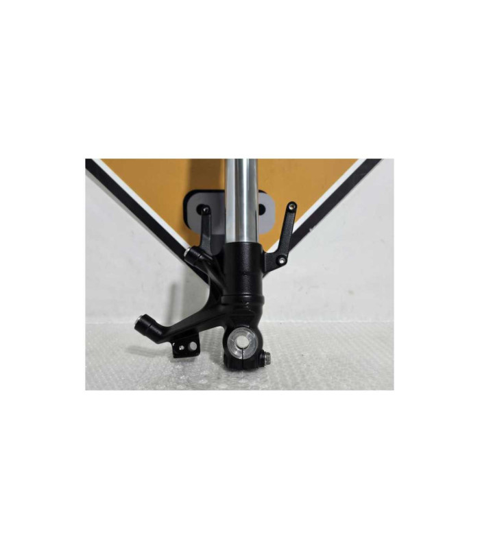 Telescop Dreapta Honda CB 125R JC79 2020